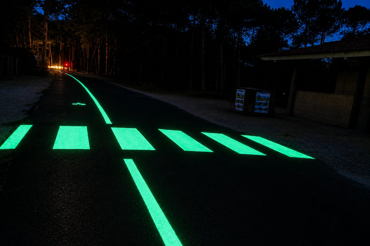 Luminous crossing project