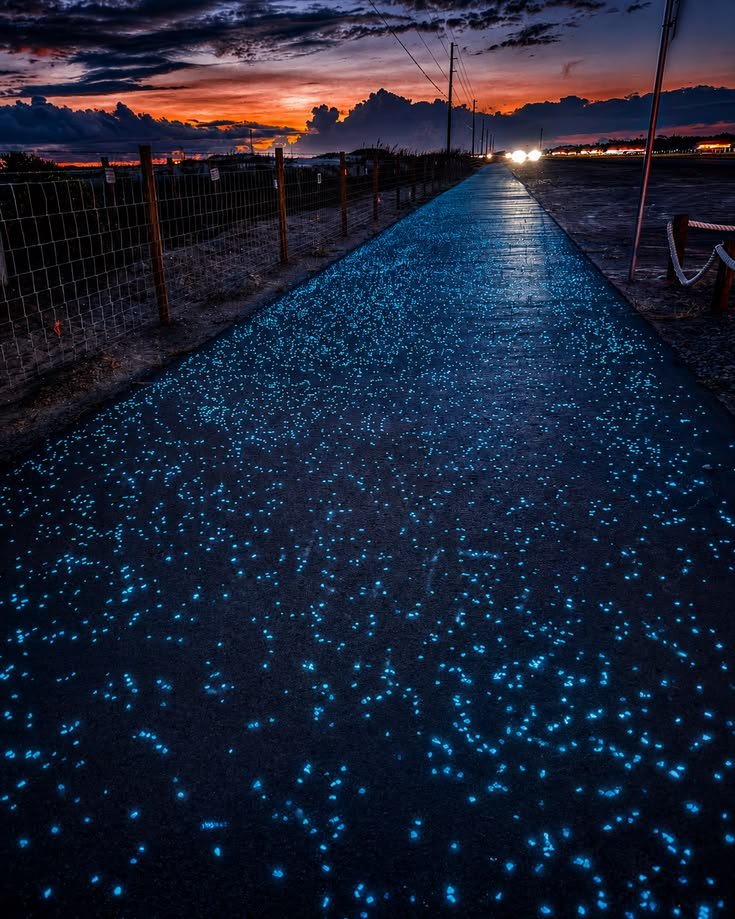 Glow-in-the-Dark Pathway with Blue Glow Stones ✨